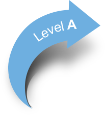 Level A