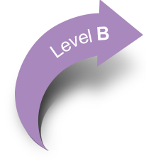 Level B