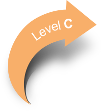 Level C