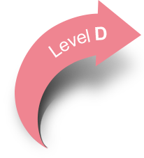 Level D
