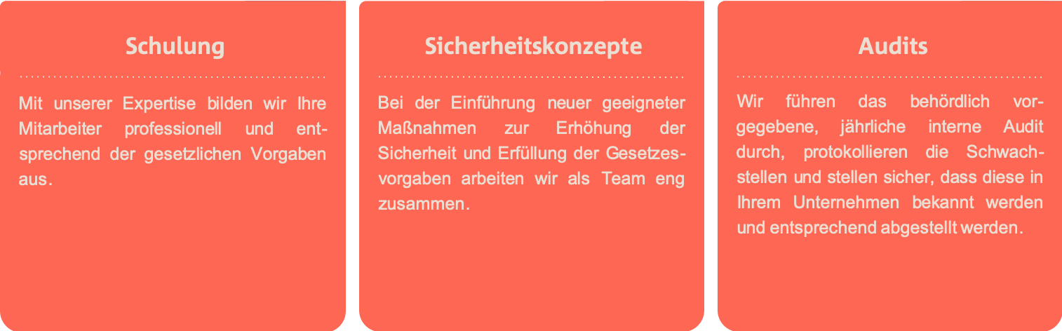 ON SCM bietet Schulungen, Sicherheitskonzepte und Audits zum Thema Luftsicherheit an Grafische Darstellung für Schulungen, Sicherheitskonzepte und Audits zum Thema Luftsicherheit durch ON Management.