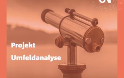 Projekt Umfeldanalyse